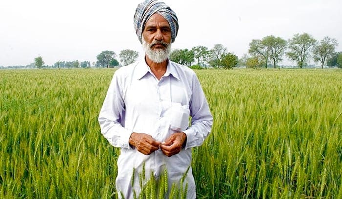 indiase_deelstaat_kerala_zet_toeleveringsketen_melk_en_vis_op_de_blockchain indiase_deelstaat_kerala_zet_toeleveringsketen_melk_en_vis_op_de_blockchain