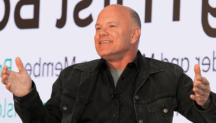 Michael Novogratz: 