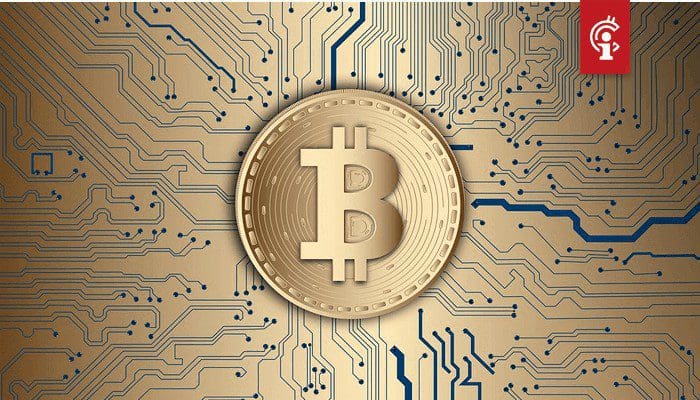 onderzoek_83_procent_van_amerikaanse_investeerders_overweegt_in_bitcoin_te_investeren onderzoek_83_procent_van_amerikaanse_investeerders_overweegt_in_bitcoin_te_investeren