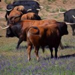 prominente_beleggers_bullish_dat_bitcoin_8200_dollar_bereikt_met_sterk_volume