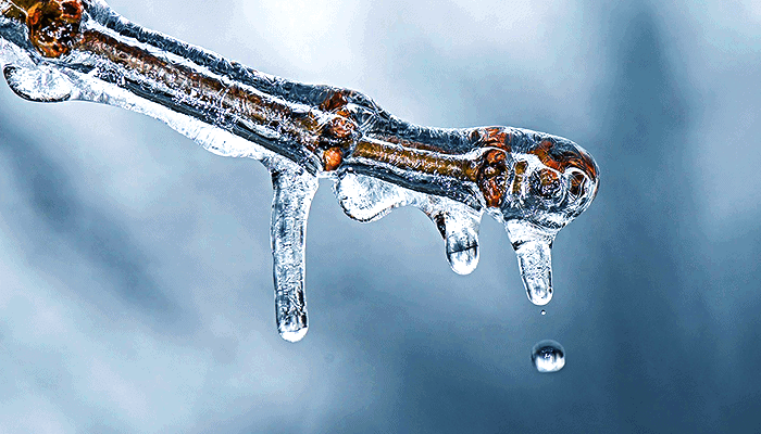 smeltendijs-1 Thomas Lee: het einde van de crypto winter is bevestigd