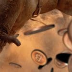 wekelijkse_BTC_bitcoin_koers_analyse_de_bulls_verzamelen_kracht_maar_pas_op