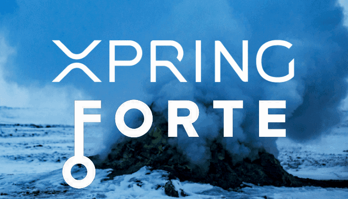 Forte en Ripple’s Xpring kondigen $100 miljoen blockchain gaming fonds aan
