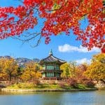 zuid_korea_ontkomt_er_niet_aan_ICOs_te_legaliseren