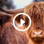 Marktupdate 13-08-21: Bitcoin bulls vechten terug! Deze altcoin profiteert mogelijk het eerst