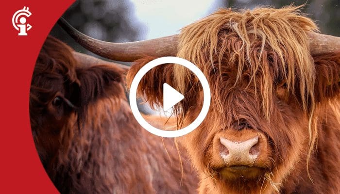 13aug Marktupdate 13-08-21: Bitcoin bulls vechten terug! Deze altcoin profiteert mogelijk het eerst