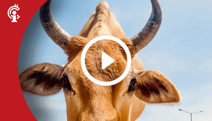21sep Marktupdate 21-09-21: Bitcoin koers maakt beste schuiver. Deze altcoin toont bullish signalen