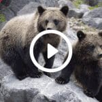 Marktupdate 23-07-21: Kleine bearish signalen voor de bitcoin koers? Let op deze niveaus!