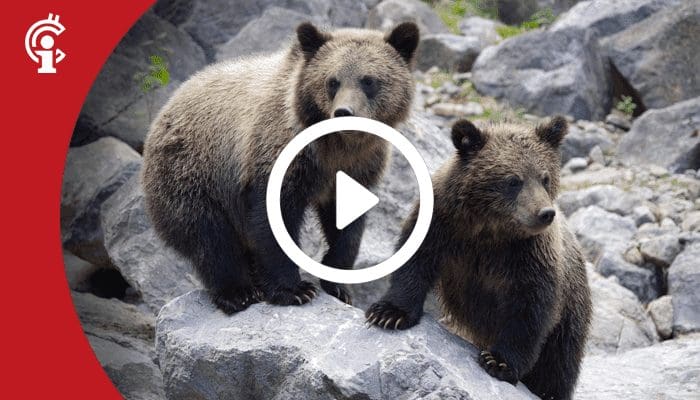 23juli Marktupdate 23-07-21: Kleine bearish signalen voor de bitcoin koers? Let op deze niveaus!