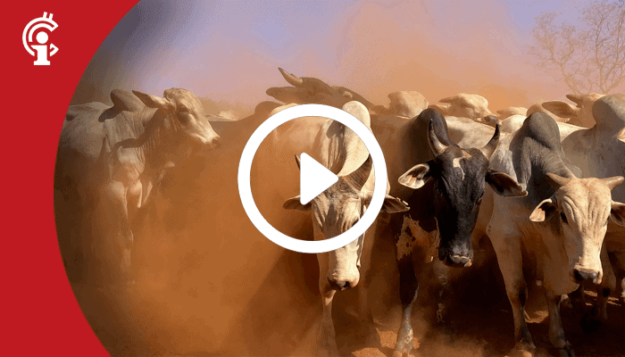 31aug Marktupdate 31-08-21: Bitcoin bulls moeten deze zone in de gaten houden. Altcoins presteren goed!