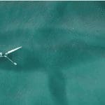 Aantal bitcoin (BTC) whales steeg in 2019 met 8,9%, whales beginnen weer met accumuleren