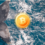 Aantal bitcoin whales staat het hoogst in 4 jaar terwijl BTC op exchanges blijft afnemen