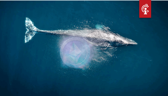 Aantal_ethereum_ETH_whales_stijgt_hard_dit_is_waarom Aantal ethereum (ETH) whales stijgt hard, dit is waarom