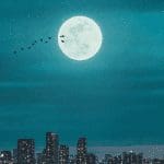 Ambitieus crypto bedrijf MoonPay haalt $555 miljoen op