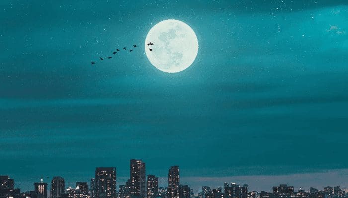 Ambitieus crypto bedrijf MoonPay haalt $555 miljoen op