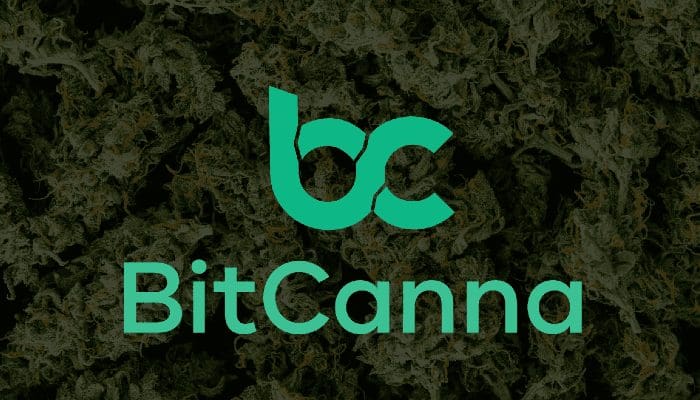 Crypto en wiet, een ideale combo? Exclusief interview met BitCanna