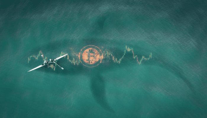 Derde grootste bitcoin whale koopt weer €18,6 miljoen BTC
