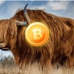 Bitcoin (BTC) bull en Wall Street-veteraan is 