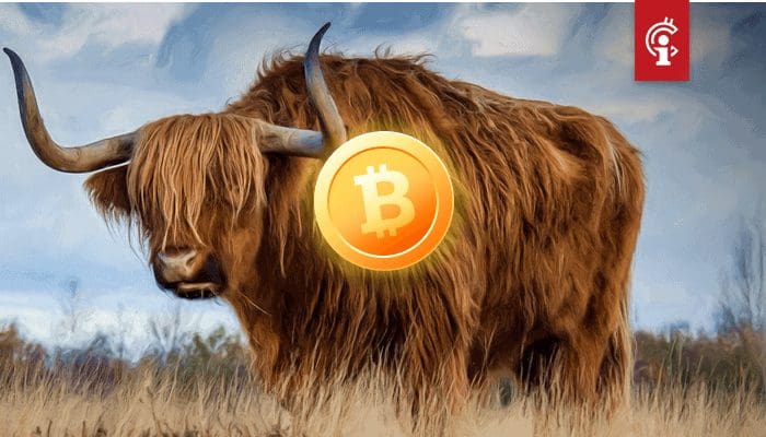 Bitcoin (BTC) bull en Wall Street-veteraan is 