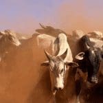 Bitcoin (BTC) bullrun laat op zich wachten Volgens historische data waarschijnlijk wel