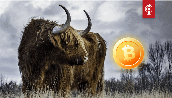 Bitcoin_BTC_bulls_verwachten_breakout_als_koers_boven_10.500_stijgt Bitcoin (BTC) bulls verwachten 'breakout' als koers boven $10.500 stijgt