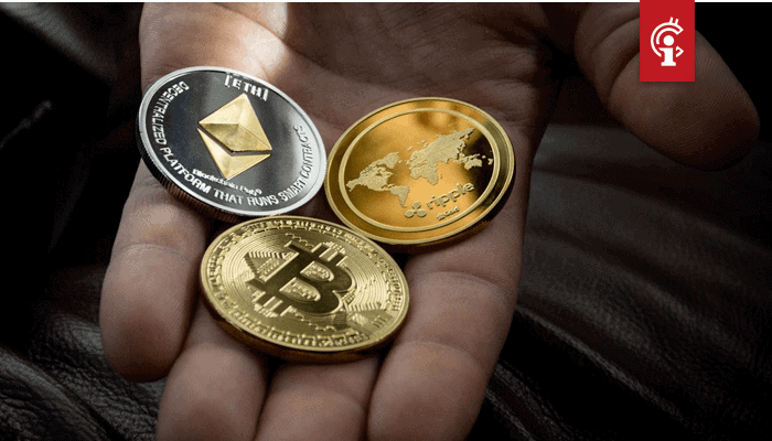 'Bitcoin (BTC) en andere crypto's ontwikkelen zich tot echte alternatieve valuta's,' aldus professor