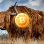 Bitcoin (BTC) halving zorgt mogelijk voor nieuwe historische bullmarkt, stelt Martin Weiss