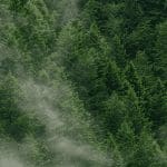 Bitcoin (BTC) indicator geeft bullish signaal af, prijs ligt 59% onder S2F-model, is dit positief