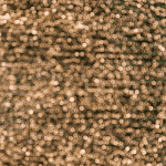 'Bitcoin (BTC) is een digitale vorm van goud en we zijn er nu nog vroeg bij,' Wall Street legende