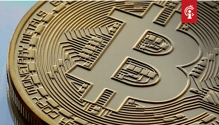 2020 wordt het jaar voor Bitcoin (BTC), aldus Mike Novogratz