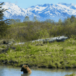 Bitcoin (BTC) koers grafiek is beslist negatief, zegt investeringslegende Peter Brandt