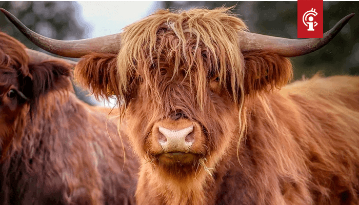 Bitcoin_BTC_koers_is_bullish_vanwege_deze_3_redenen_zegt_onderzoeksbureau Bitcoin (BTC) koers is bullish vanwege deze 3 redenen, zegt onderzoeksbureau