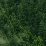 Bitcoin (BTC) koers stuit op weerstand, deze altcoins kleuren felgroen