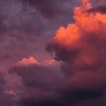 Bitcoin (BTC), litecoin (LTC) en cryptomarkt stijgen op na groots nieuws, maar is het fake news