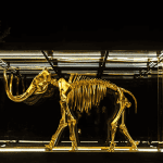 Bitcoin (BTC) miljardairs gaan de mammoet weer tot leven brengen!
