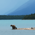 Bitcoin (BTC) naar $100.000 PlanB herhaalt verwachting terwijl analisten verdere correctie verwachten