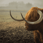 Bitcoin bullish weekend als we deze weerstand breken. John bekijkt ethereum, alpha finance en chainlink