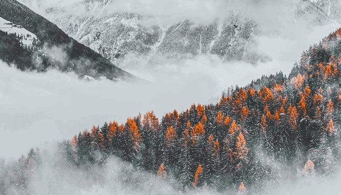 Bitcoin_BTC_opnieuw_afgewezen_maar_vormt_hogere_lows_cardano_ADA_opnieuw_dik_in_de_plus Bitcoin (BTC) opnieuw afgewezen maar vormt hogere lows, cardano (ADA) opnieuw dik in de plus