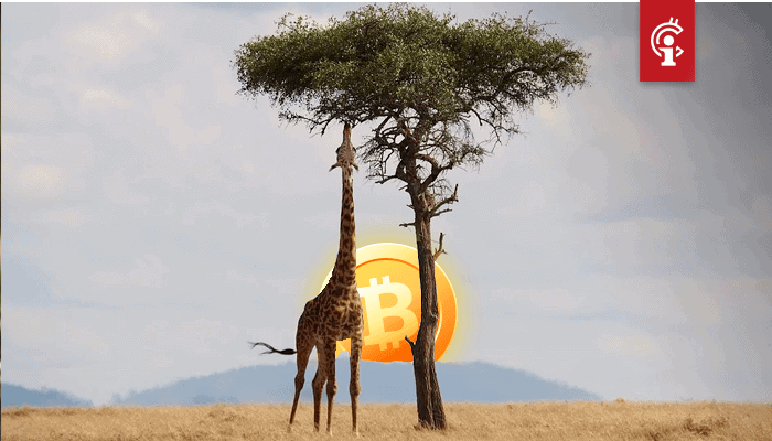 Bitcoin_BTC_peer-to-peer_handelsvolume_in_Afrika_bereikt_record_in_aanloop_naar_halving Bitcoin (BTC) peer-to-peer handelsvolume in Afrika bereikt record in aanloop naar halving