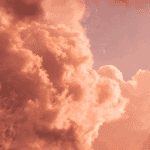 Bitcoin (BTC) prijs crasht onder $50.000 Binance onderzocht door Amerikaanse justitie