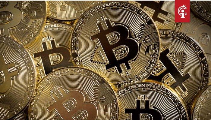 Bitcoin_BTC_tikt_de_8.000_aan_na_uitbraak_ripple_XRP_10_in_de_plus Bitcoin en cryptocurrency adoptie loopt achter door dreigende maatregelen, aldus Mike Novogratz