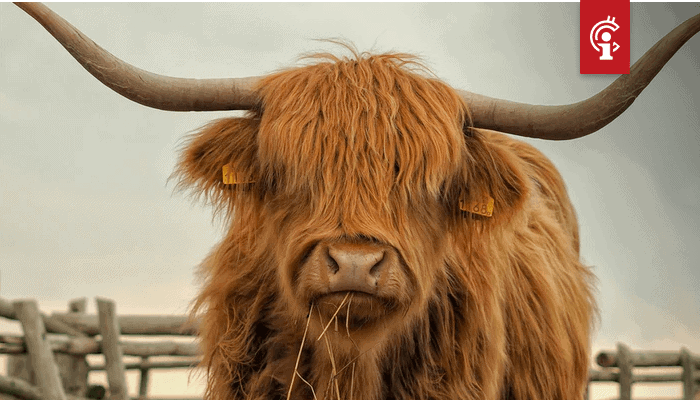 Bitcoin_BTC_trader_laat_gelijkenissen_tussen_huidige_markt_en_eerdere_bullrun_zien Bitcoin (BTC) trader laat gelijkenissen tussen huidige markt en eerdere bullrun zien