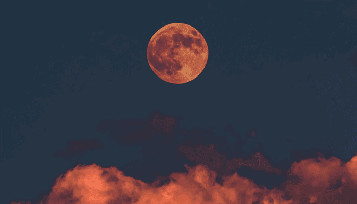 Bitcoin_BTC_tussen_april_en_september_naar_100k_stelt_PlanB_op_basis_van_deze_vergelijking Bitcoin (BTC) tussen april en september naar $100k, stelt PlanB op basis van deze vergelijking