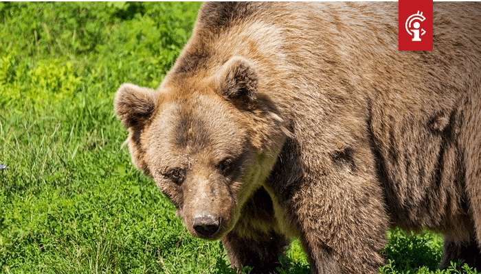 Bitcoin (BTC) vestigt nieuw jaarlijks hoogtepunt, bears gooien roet in het eten