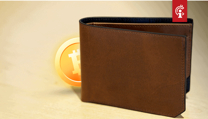 Bitcoin (BTC) wallets met ten minste 0,1 BTC bereikt ATH