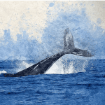 Bitcoin (BTC) whale Joe007 Ethereum (ETH) staking is een marketingtruc