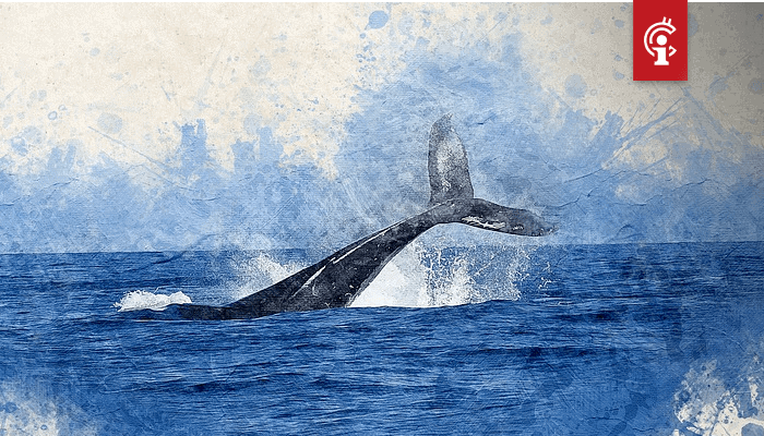 Bitcoin_BTC_whale_Joe007_Ethereum_ETH_staking_is_een_marketingtruc Bitcoin (BTC) whale Joe007 Ethereum (ETH) staking is een marketingtruc