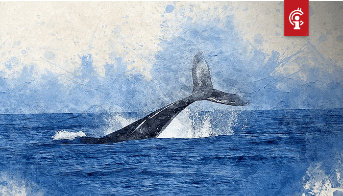 Bitcoin (BTC) whale Joe007 Ethereum (ETH) staking is een marketingtruc