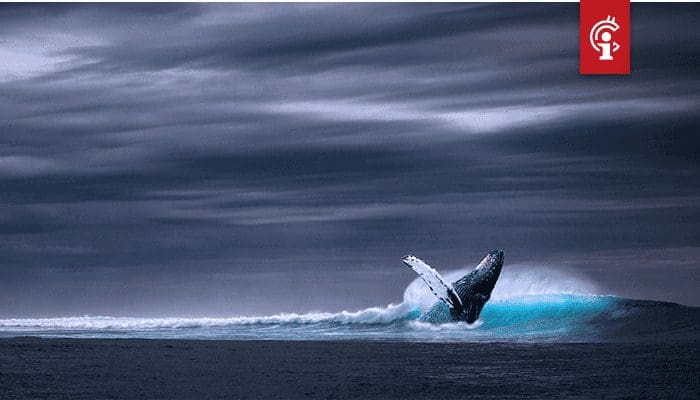 Bitcoin (BTC) whale Joe007 over DeFi: 'Het is ponzifraude'