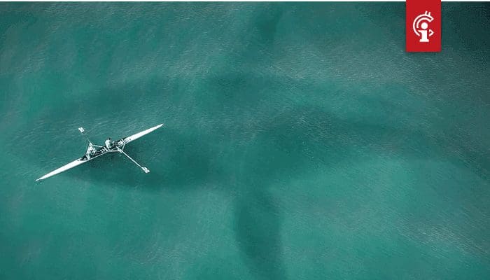 Bitcoin_BTC_whale_Massa-extinctie_van_shitcoins_voor_volgende_bitcoin_rally_waarschijnlijk Bitcoin (BTC) whale: 'Massa-extinctie van shitcoins voor volgende bitcoin rally waarschijnlijk'